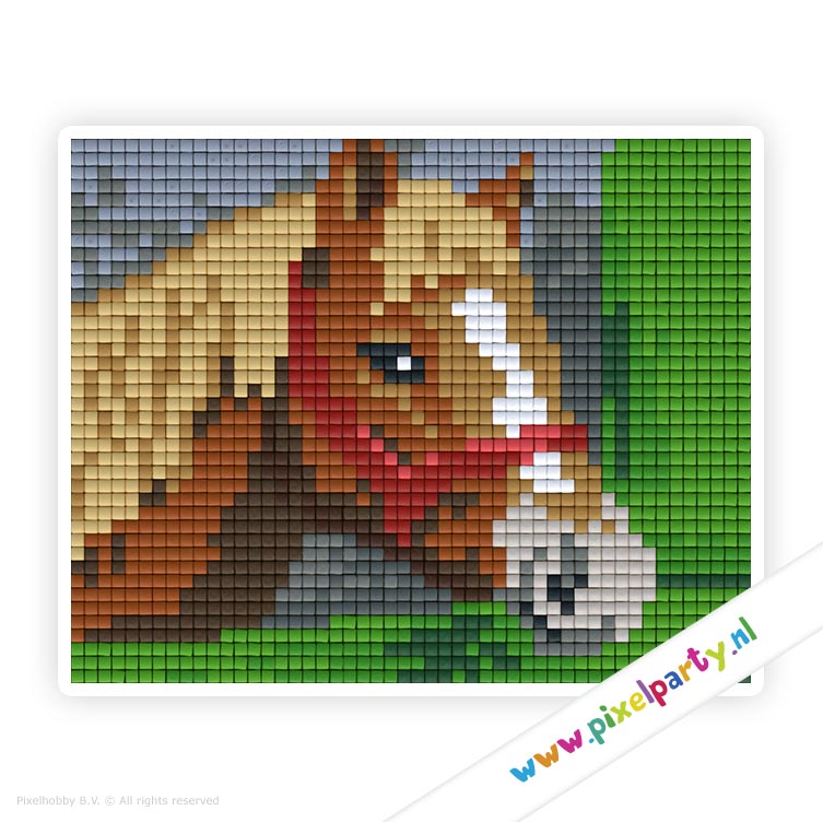 A Paard Pixel Party