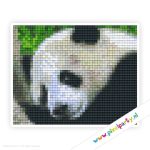 1a_022_pixelhobby_patroon_dier_panda