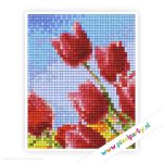 1a_140_pixelhobby_patroon_bloem_tulpen_rood