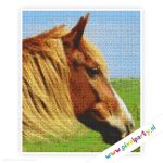 6a_001_pixelhobby_patroon_dier_paard