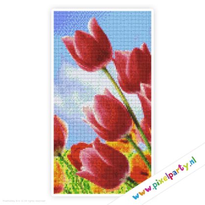 6a_004_pixelhobby_patroon_bloemen_tulpen