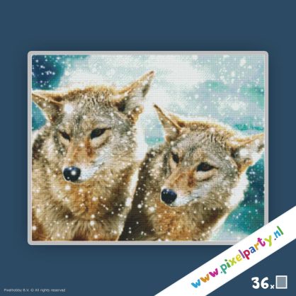 pixelhobby-patroon-wolven-36platen